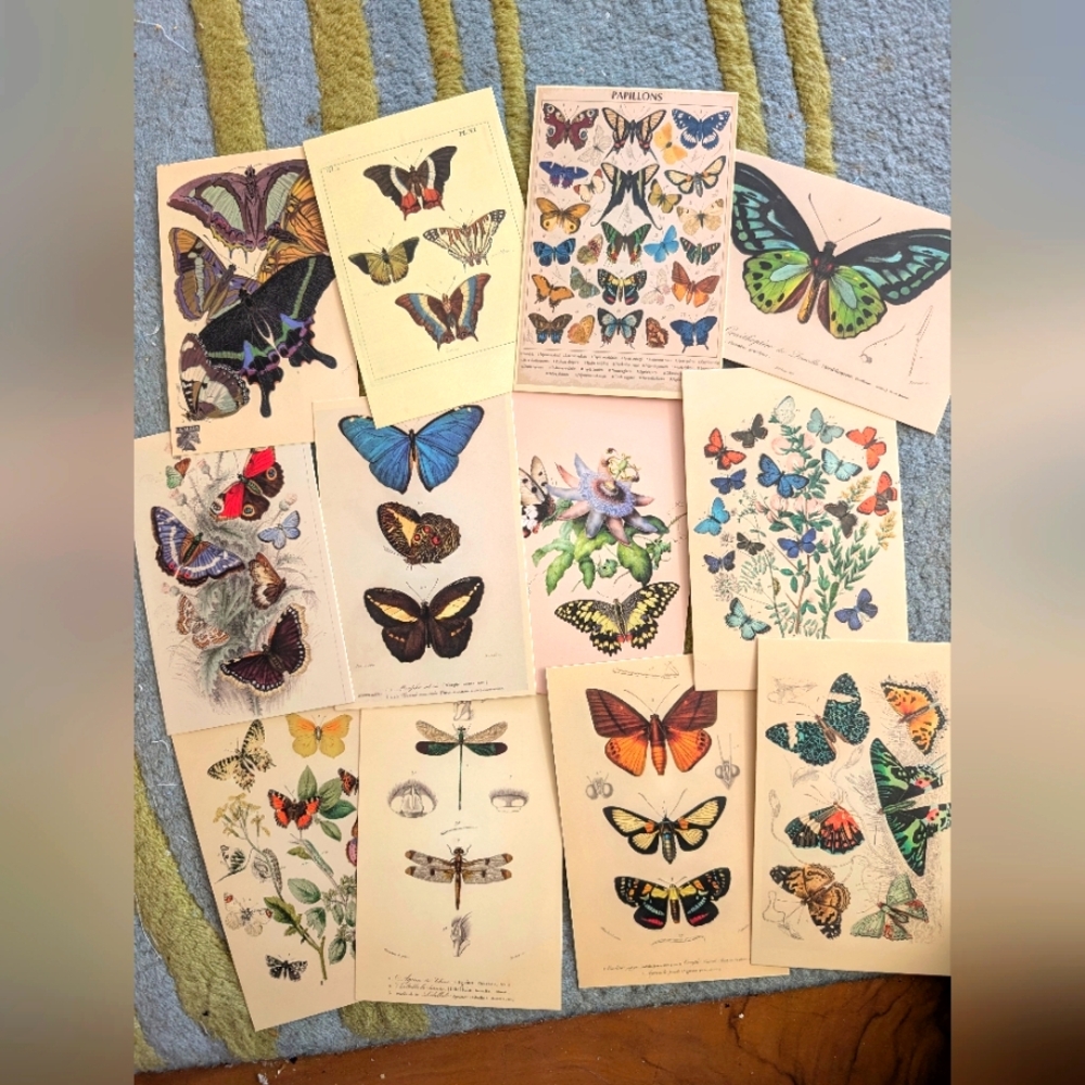 Post Cards  3x5